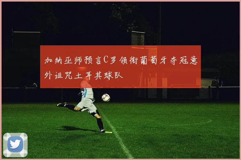 加纳巫师预言C罗领衔葡萄牙夺冠意外诅咒土耳其球队